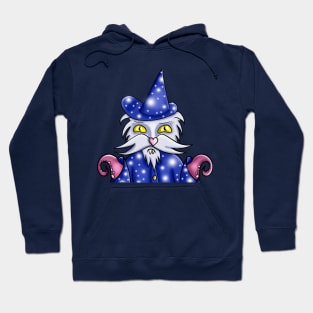 Сat-wizard Hoodie